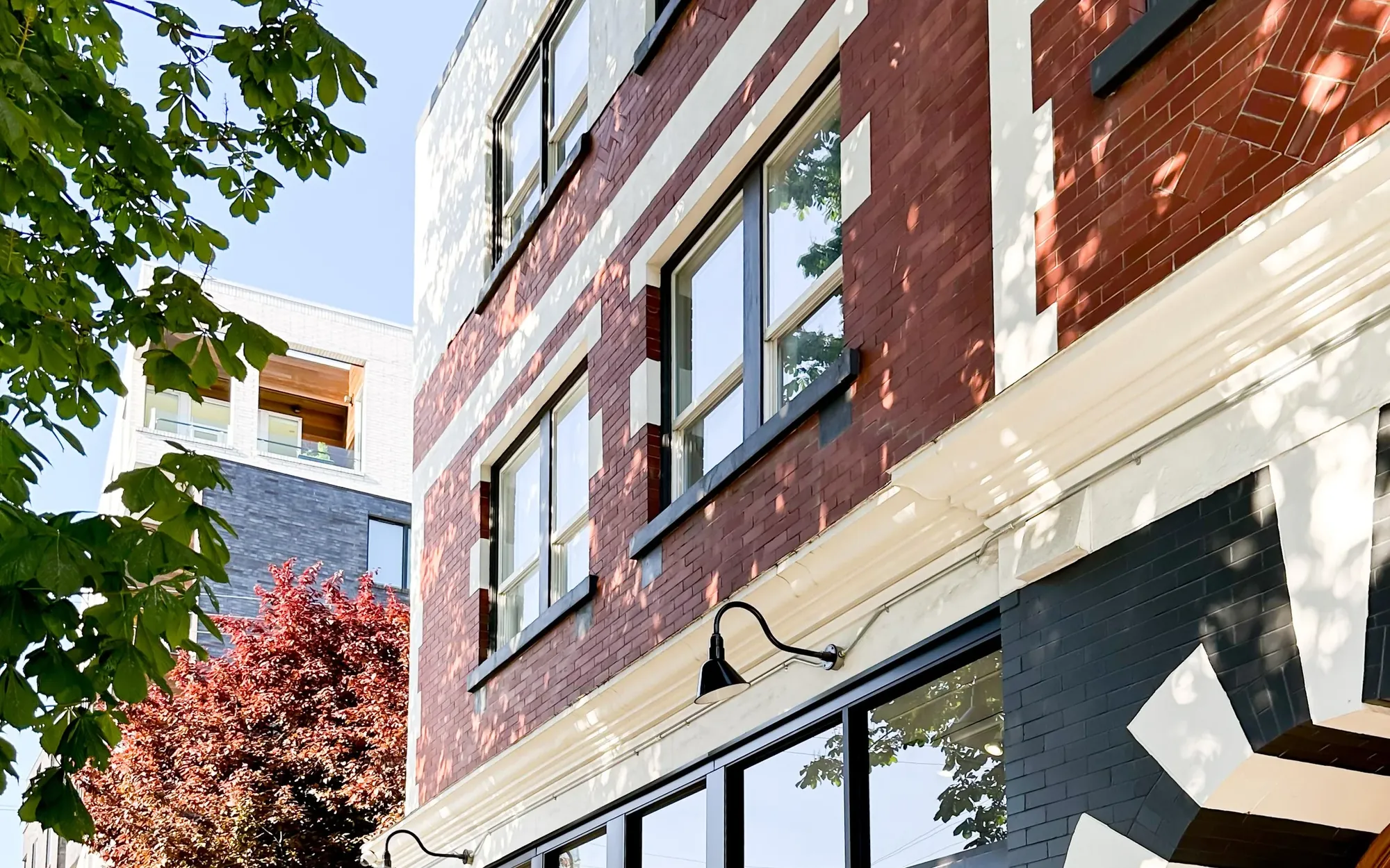 Bell Apartments from Cook Street, the chestnut tree over the brick facade