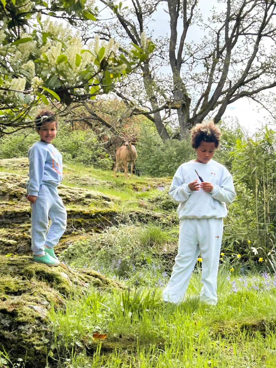 Two children on the mossy outcrop at Edwin Oaks, a deer watching from the trees behind them