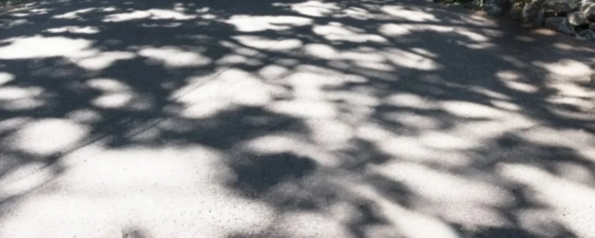 Dappled oak shadow on a path