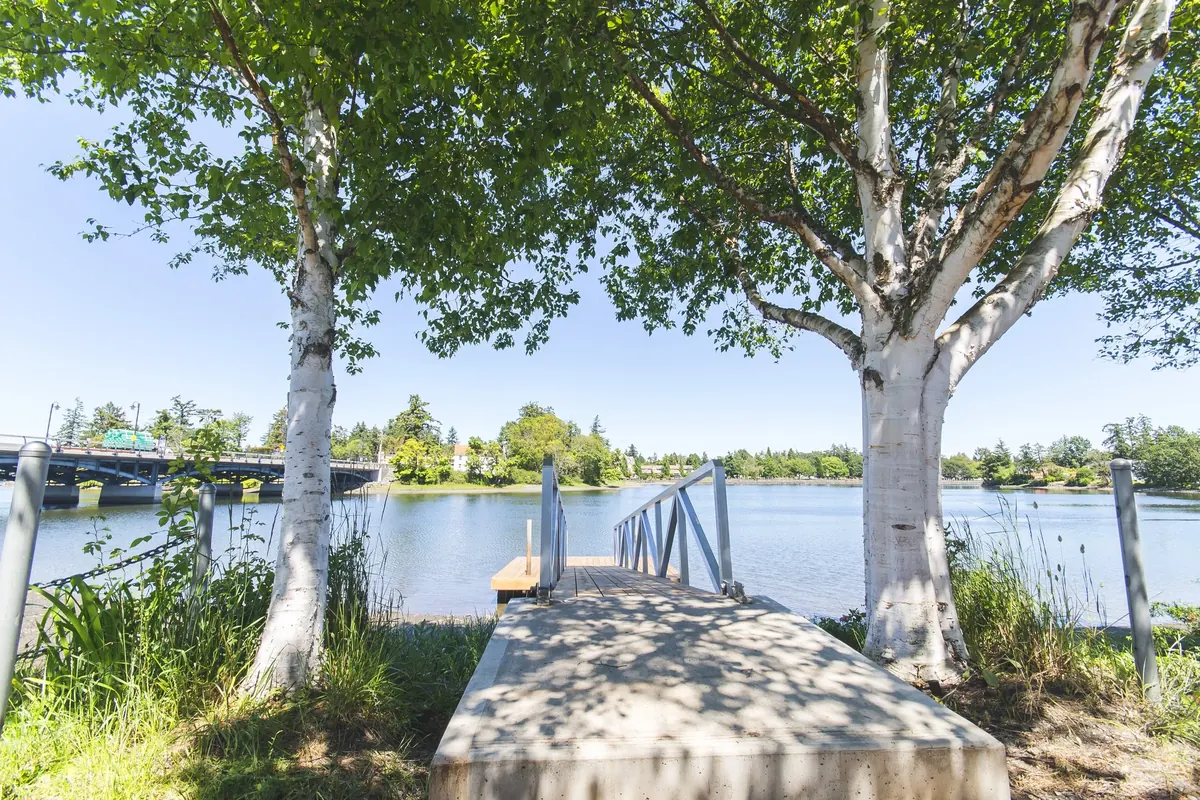 The dock and the arbutus trees on the Gorge Waterway