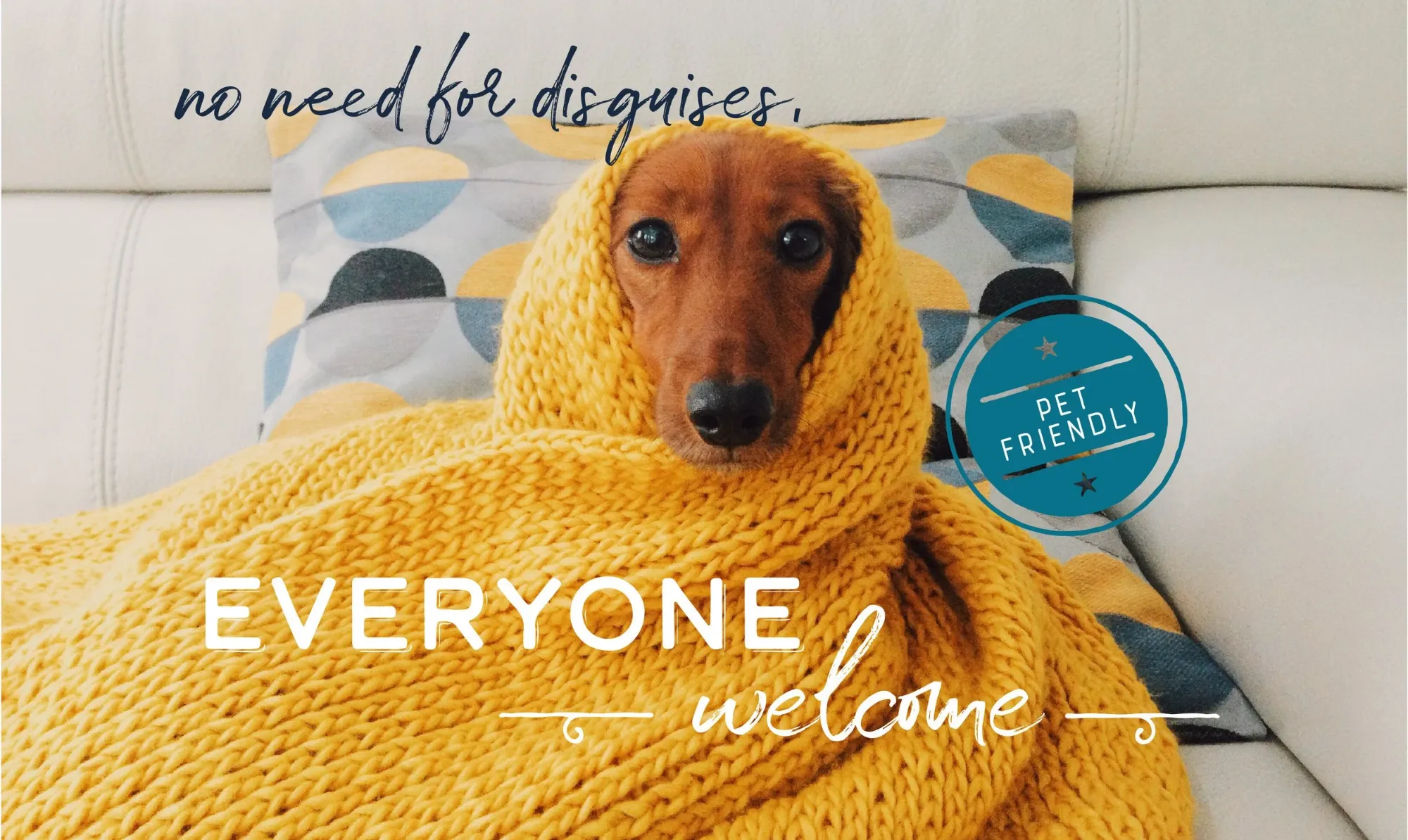 A dachshund wrapped in a yellow blanket: no need for disguises — everyone welcome